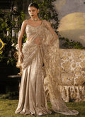 Gold Embroidered Foil Silk Saree